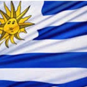 Motivos y objetivos en Uruguay